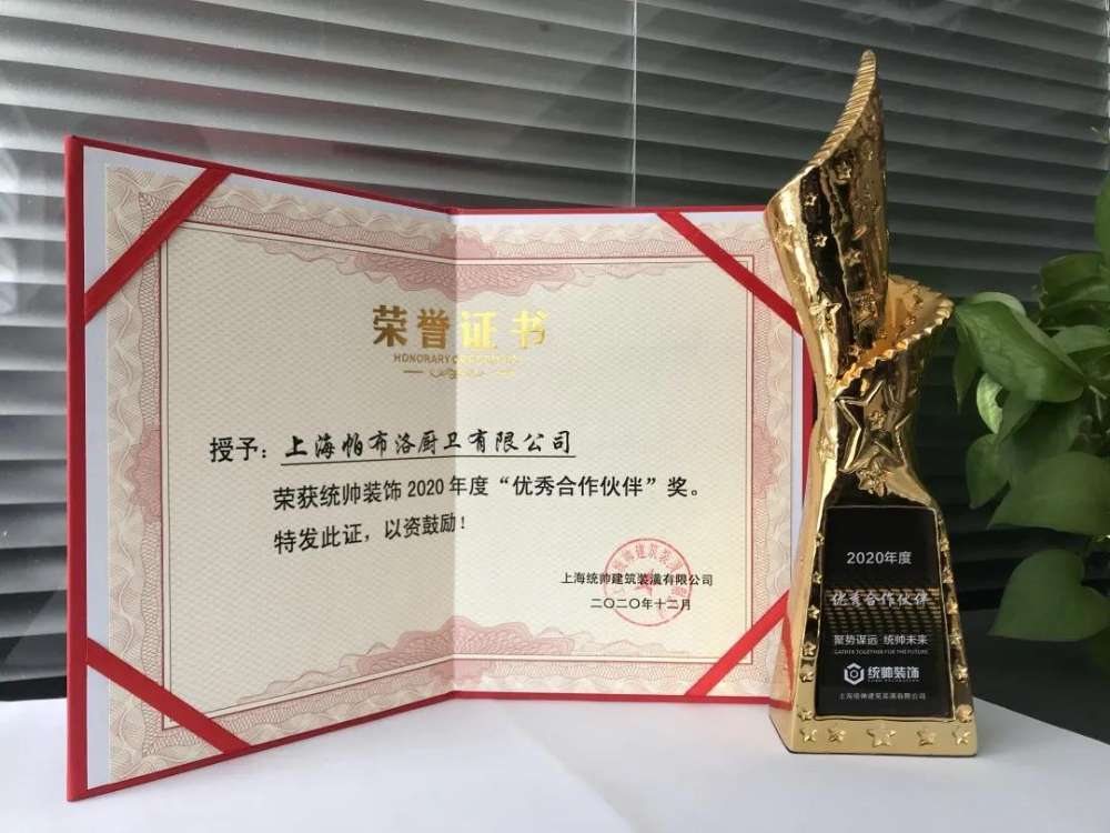 帕布勒榮獲2020年度“優(yōu)秀合作伙伴獎” ——重質(zhì)守信 優(yōu)質(zhì)服務(wù)